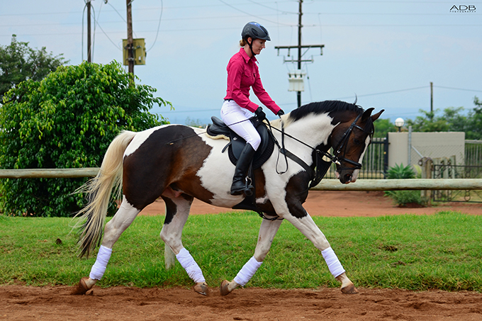 horse riding lessons